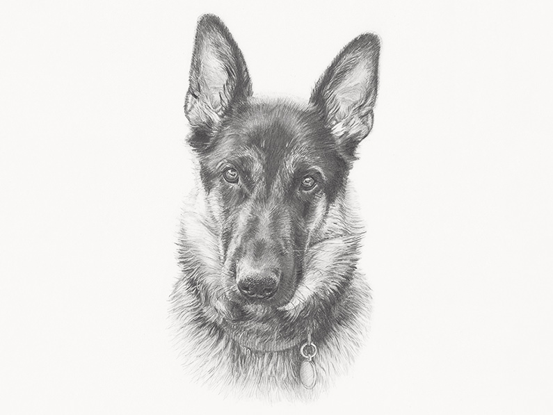 Personalised Pet Portrait Sketch Print  Personalised 3D Crystals Glass  Gifts Photo Gifts