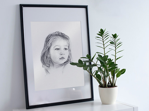 Framed pencil portrait